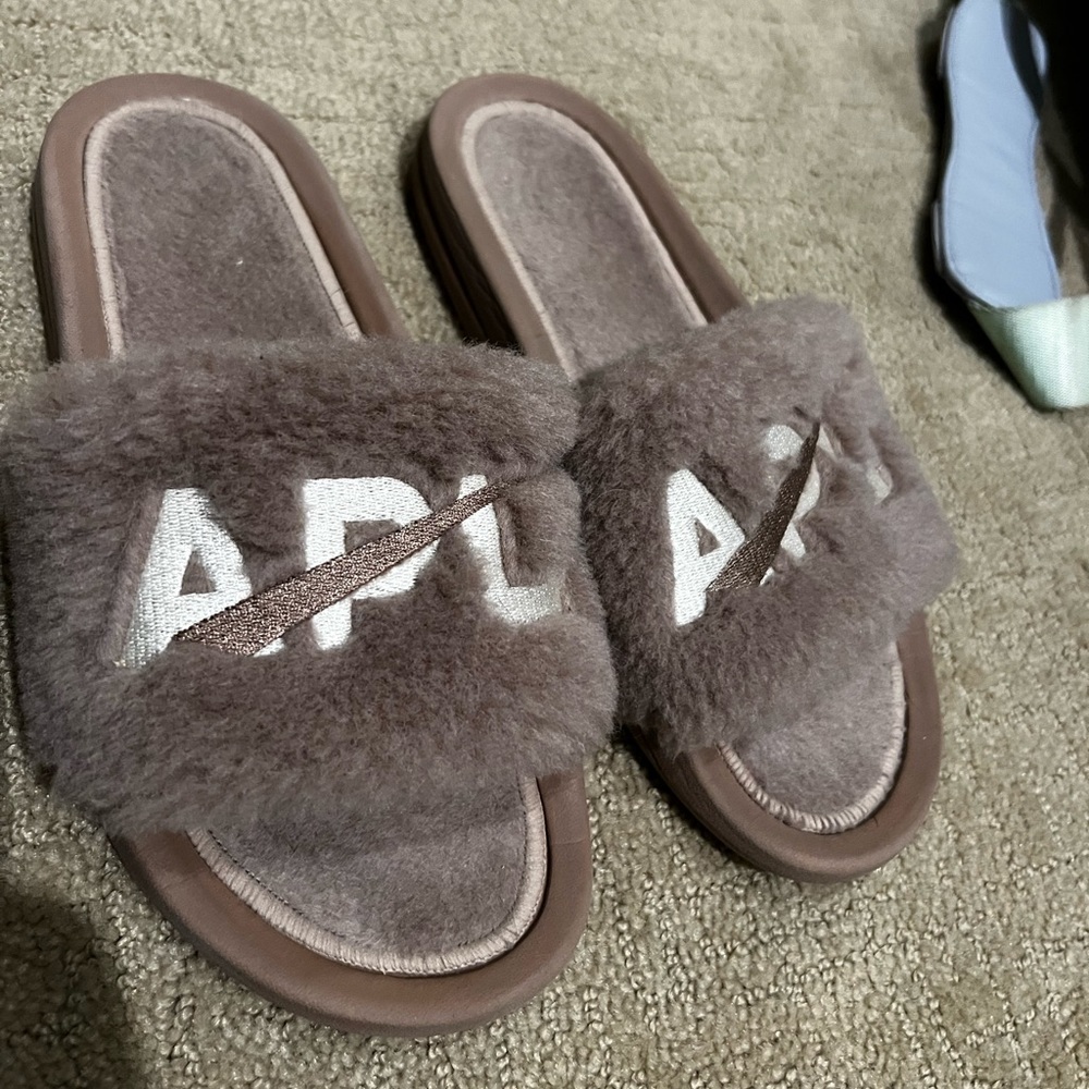 Apl Slides - image 1